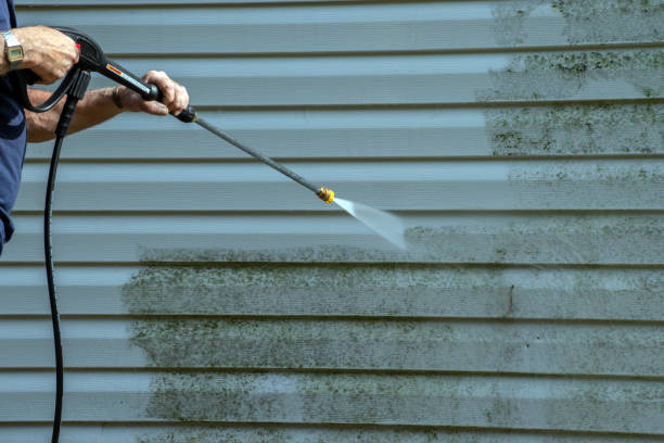 Best Driveway Pressure Washing  in Plainwell, MI
